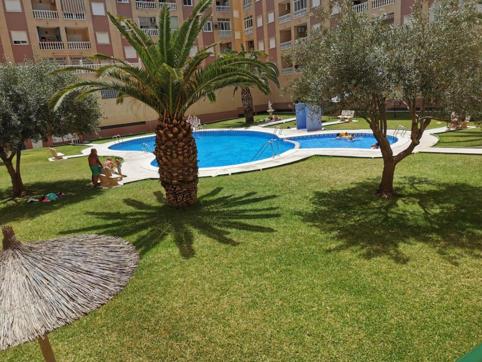 Charming Appartement Torrevieja